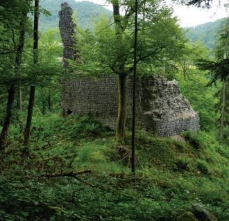 Razvaline gradu Stara Soteska, arhiv Občine Dolenjske Toplice